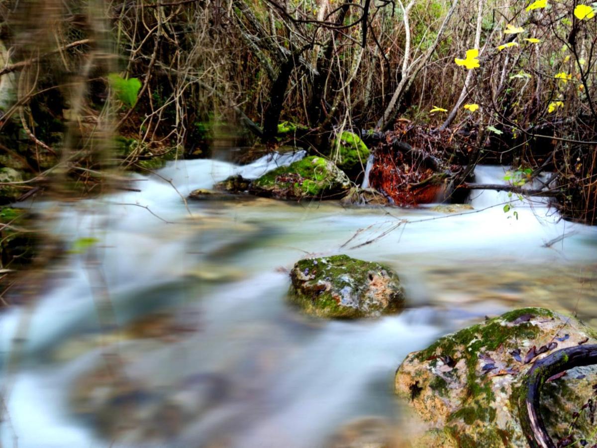 La Casa Del Naturalista El Bosque Dış mekan fotoğraf