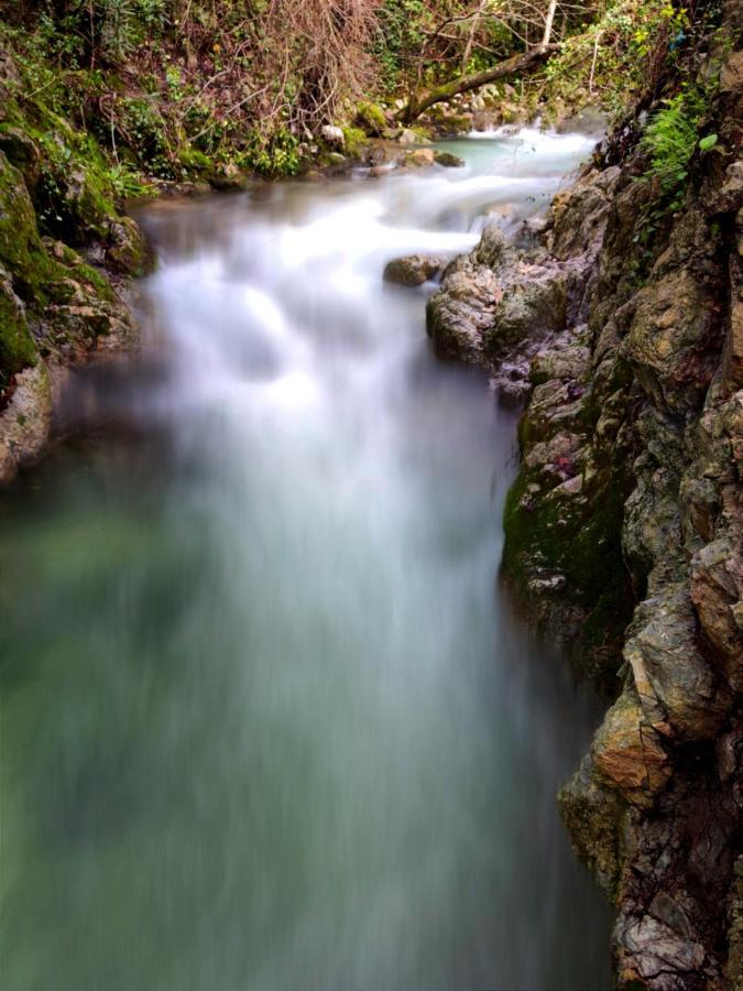 La Casa Del Naturalista El Bosque Dış mekan fotoğraf