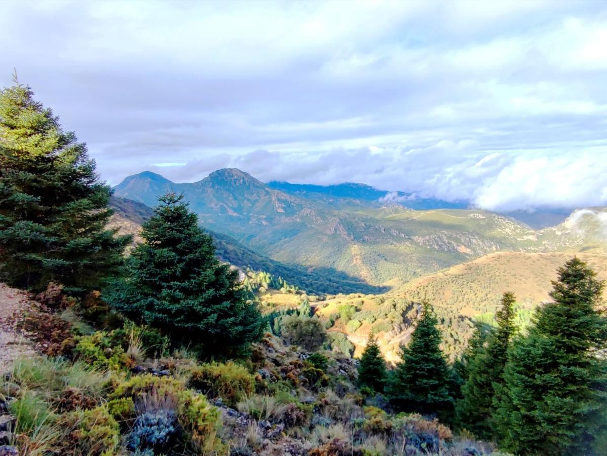 La Casa Del Naturalista El Bosque Dış mekan fotoğraf