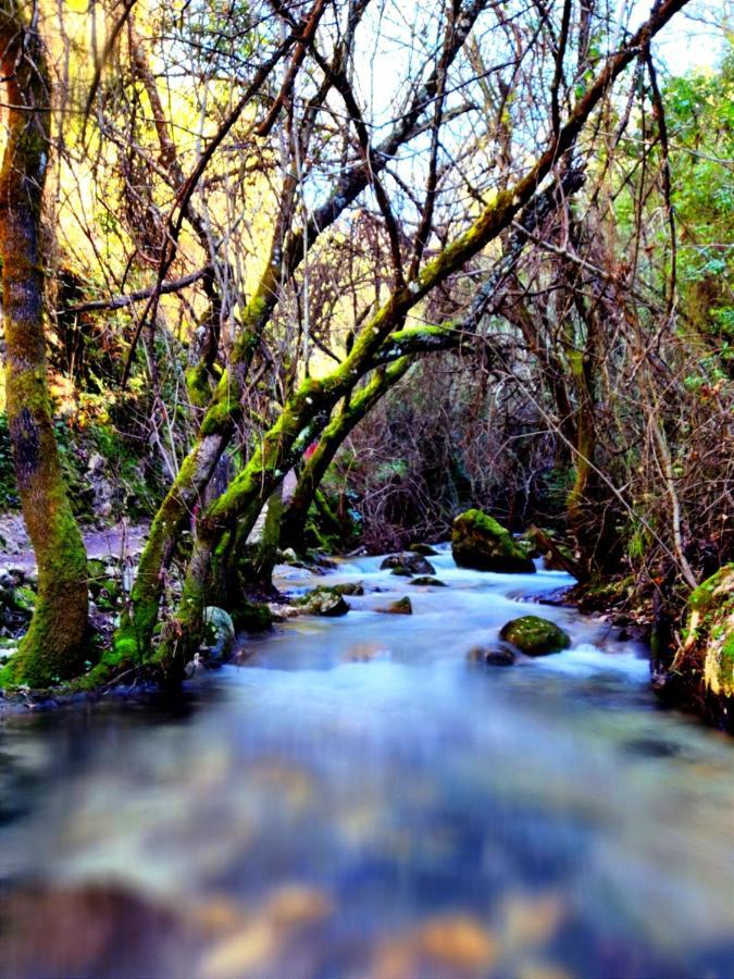 La Casa Del Naturalista El Bosque Dış mekan fotoğraf
