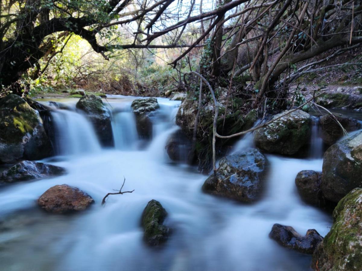 La Casa Del Naturalista El Bosque Dış mekan fotoğraf