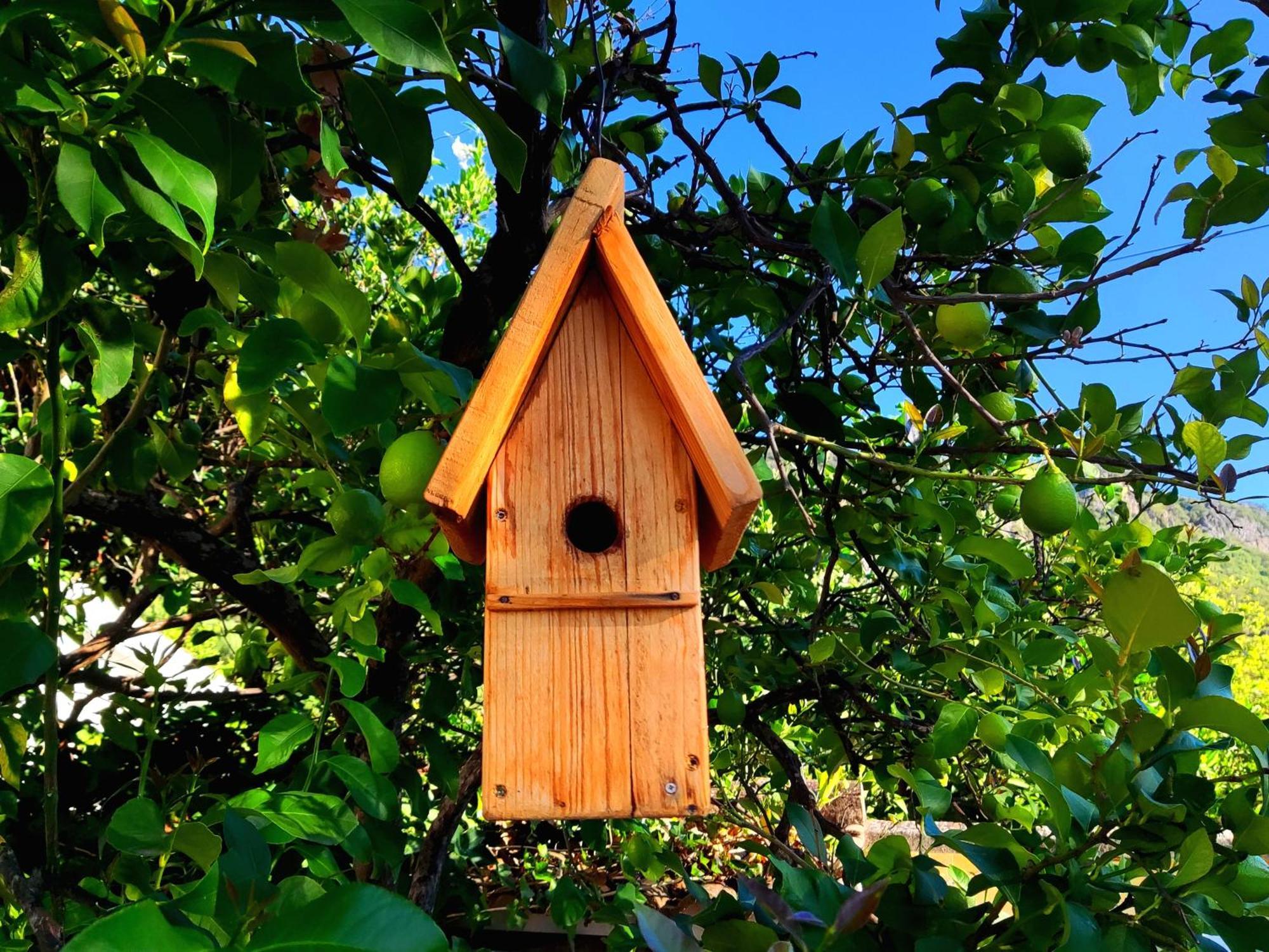 La Casa Del Naturalista El Bosque Dış mekan fotoğraf